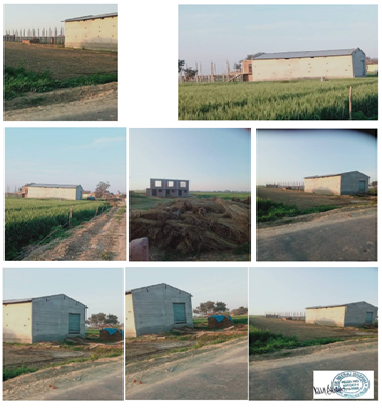 Baig Poultry 17.0500